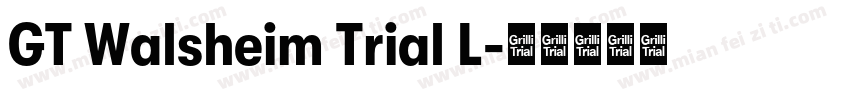 GT Walsheim Trial L字体转换